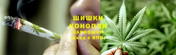 винт Богданович