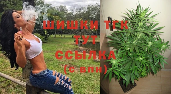 винт Богданович