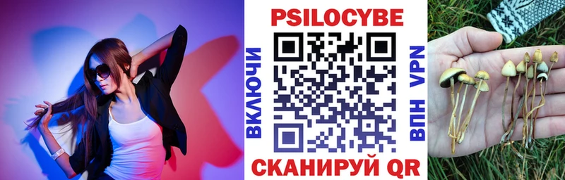 Псилоцибиновые грибы Cubensis Берёзовка
